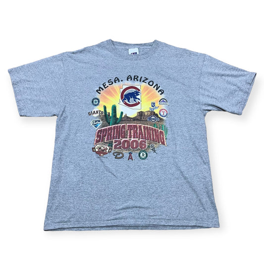 2006 Spring Training MLB sports tee (XXL)