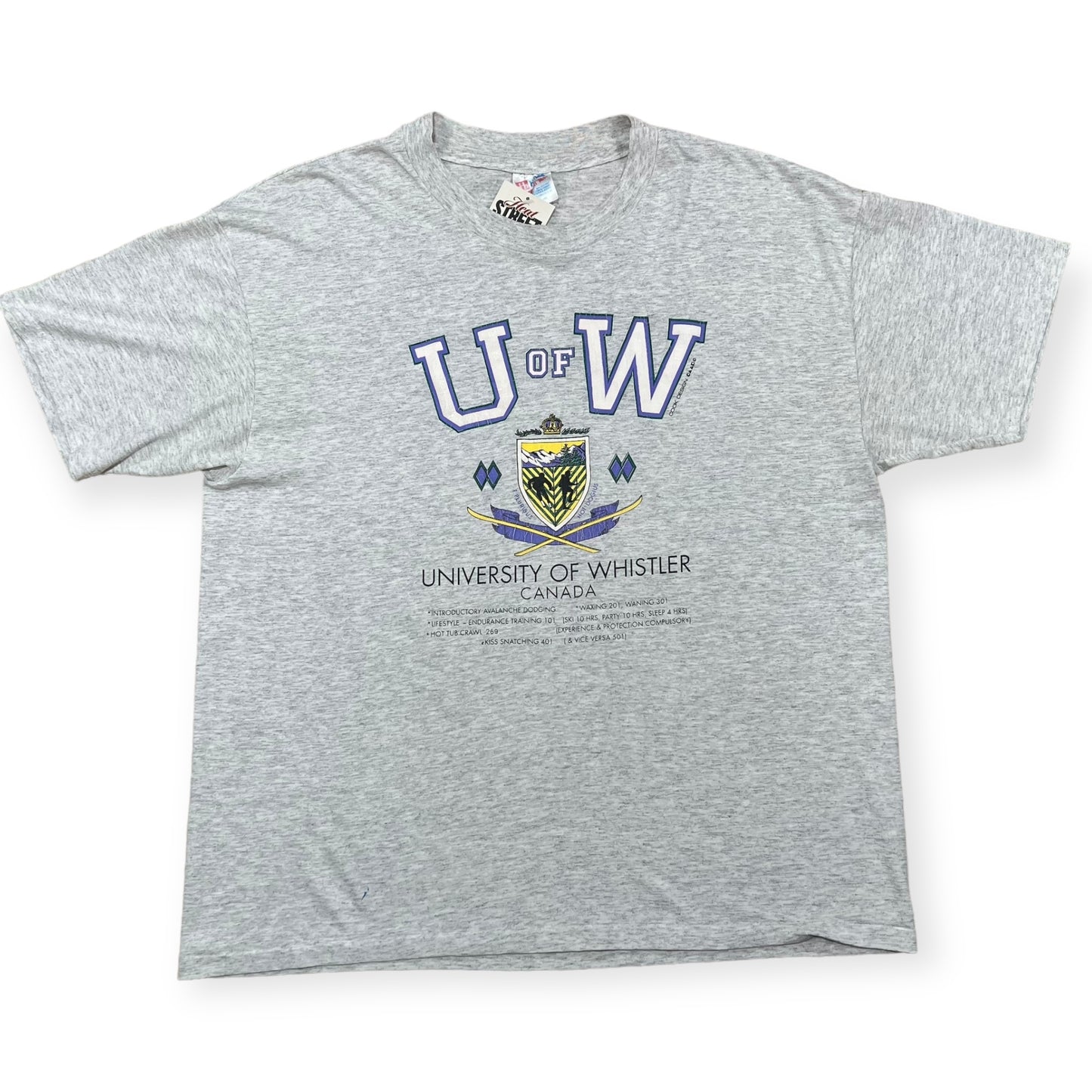 1990's University of Whistler Canada single stitch tee (XL)